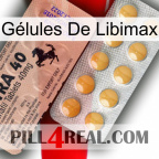 Gélules De Libimax 41